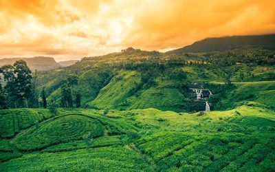 Nuwara Eliya